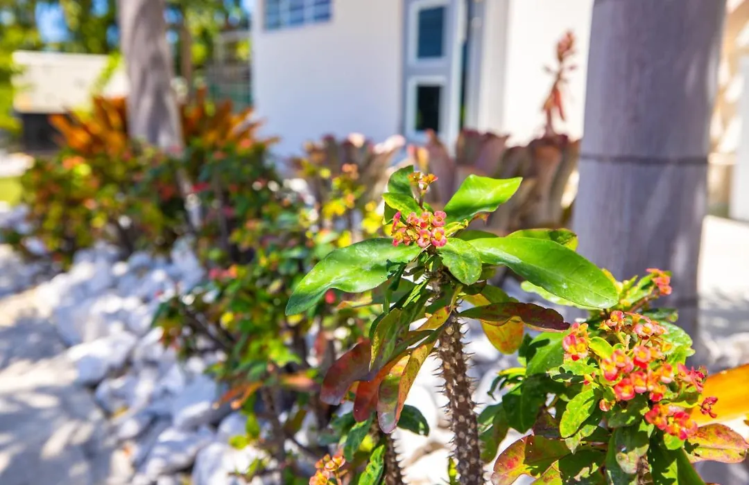 Chris Guest House-1