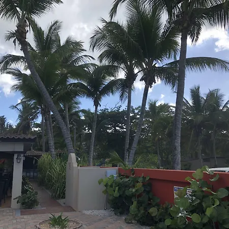 Casa Islena-2